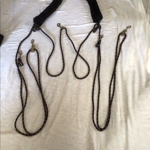 Waldausen Lunging System